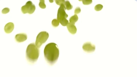 Slow motion – grapes rolling towards camera – vers.04/04 Stock Footage 80010654