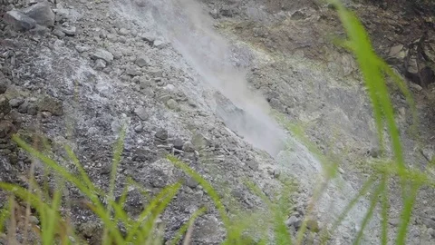 Slow motion-Grass blows in the wind as smoke rises from a hot spring (fumarole) 库存影片 81262570