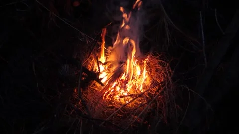 Slow Motion - Grass Burns On Bonfire Stock Footage 195281754