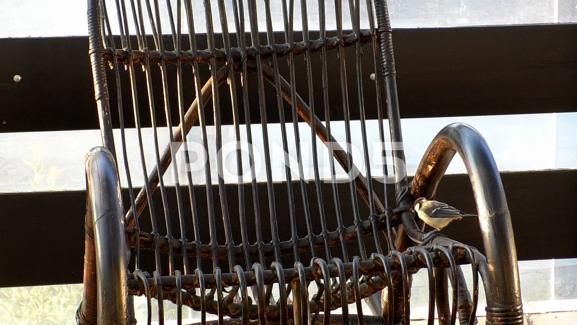 Slow motion: great tits (parus major) on a rocking chair, eating birdseed