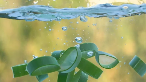 Slow motion of green aloe vera plant leaf slices falling in water and splashing Vídeo Stock 255187781
