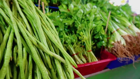 Slow motion green been and vegetable in vegan market Stock Footage 249377614