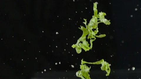 Slow Motion Green Lettuce Launch With Water Splash 스톡 동영상 71423525