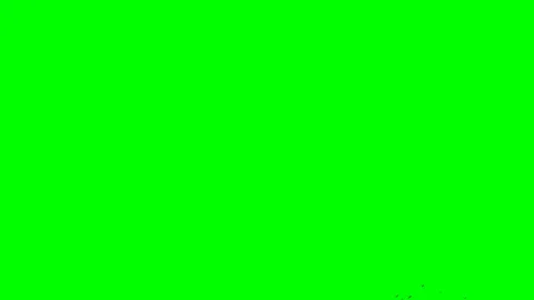 Slow motion green screen flock of birds appears in the bottom right corner and Video stock 129890882