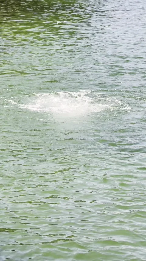 Slow Motion Green Water Bubbles and Ripples 4K vertical HDR 스톡 동영상 333474965