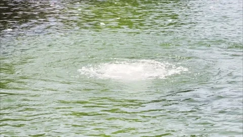 Slow Motion Green Water Bubbles and Ripples 4K HDR Stock Footage 333475057