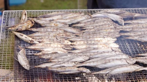 Slow motion grilled flying fish closeup over hot coals with smoky texture Japan Stock Footage 321079874
