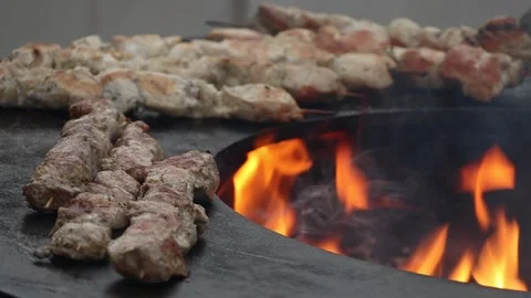 Slow motion of grilling a chicken. Barbecue grill, fire, flame. Soft focus. Stock Footage 235218448