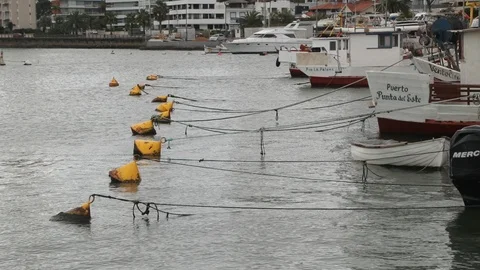 Slow motion of group of boats bow attached to yellow buoys at harbour Stockbeeldmateriaal 119087787