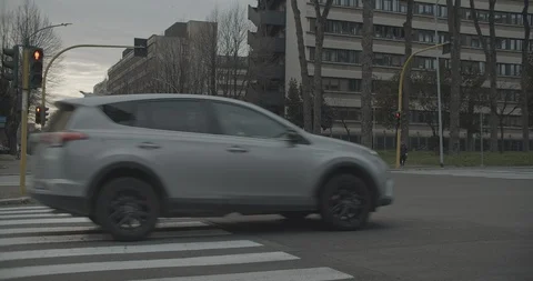 Slow motion of a group of crows eating a dead animal in a crossroad Stock Footage 127780702
