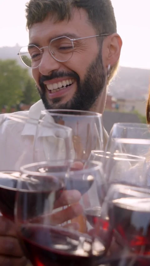 Slow motion of group of multiracial friends toasting with red wine and Stock Footage 270386635