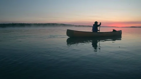 Slow motion of a guy canoeing at dawn with his dog Stock Footage 88296855