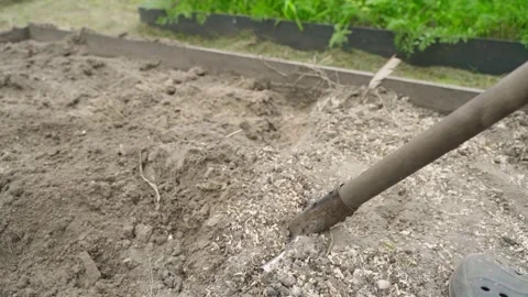 Slow motion, a guy digs up soil in a garden bed with a shovel, close-up Stock Footage 315568531