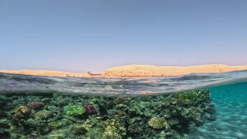 Slow motion half underwater coral reef scene with desert dunes above the sea Stock Footage 340540591