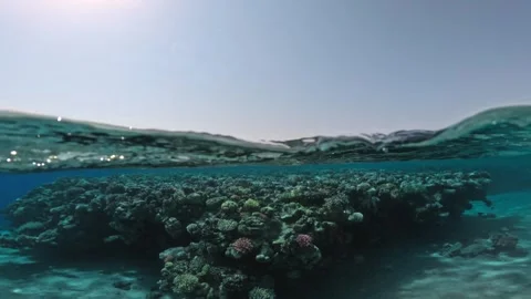 Slow motion half underwater scene of coral reef beneath waves and blue sky Vidéo 325941872