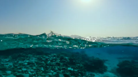 Slow motion half underwater view of coral seabed and waves on water surface Vídeos de archivo 340541268
