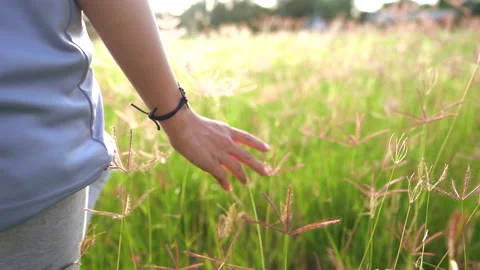 Slow motion hand of child and grass field on sunny 스톡 동영상 141860138