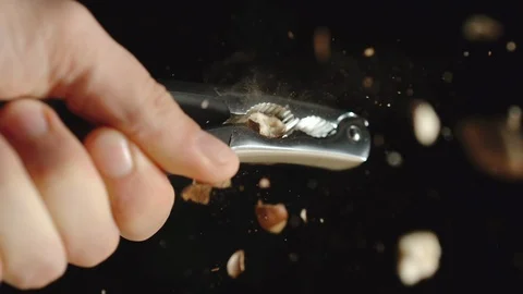 SLOW MOTION: Hand Cracking A Hazelnut With A Steel Nutcracker Stock Footage 118788275