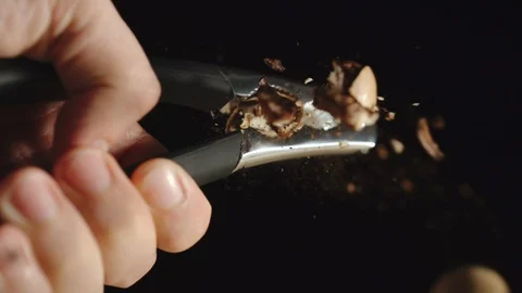 SLOW MOTION: Hand Cracking A Pecan Nut With A Steel Nutcracker Stock Footage 118788308