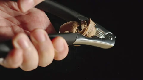 SLOW MOTION: Hand Cracking A Walnut With A Steel Nutcracker Stock Footage 161688424