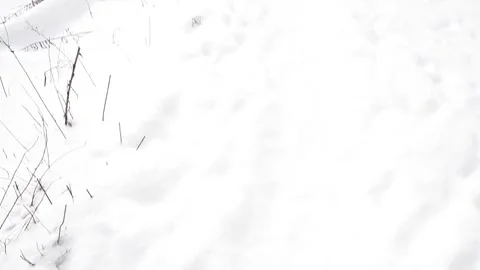 Slow motion hand held video of winter hike fresh snow, cold weather activitie Stock Footage 262001487