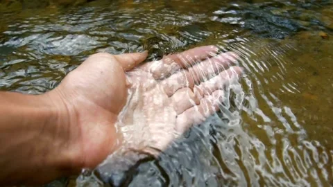 Slow motion Hand scooping fresh water in the forest. hand touching water. Stock Footage 270319342