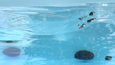 Slow Motion Hand Slap In Hot Tub Video stock 77013211