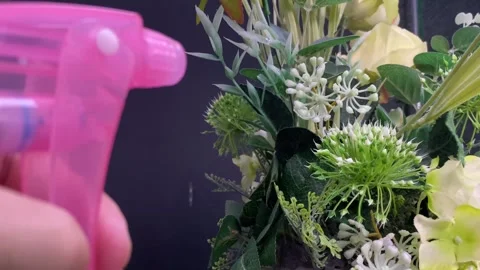 Slow motion hand spraying water mist from pink foggy blurred fake flowers Stock Footage 250088962