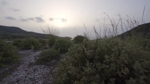 Slow motion handheld medium shot of a sunset on a green roof Stock Footage 257949513