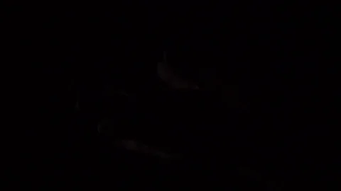 Slow motion of hands with chalk or dust splash Stock Footage 75100919