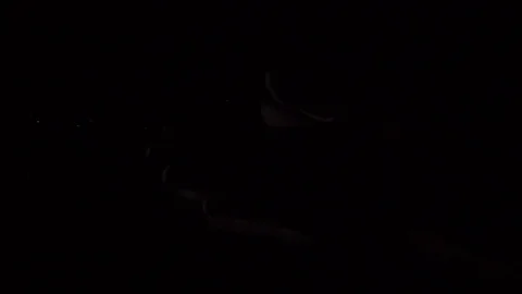 Slow motion of hands with chalk or dust splash Stock Footage 75101152