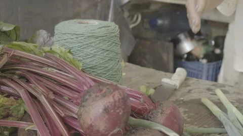 Slow Motion of Hands Cleaning and Preparing a Bunch of Fresh Scallions/Chives Stock Footage 320634777