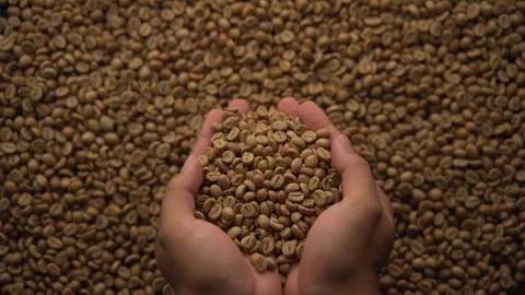 Slow motion of hands pouring coffee beans to a pile of coffee beans Video stock 116231606