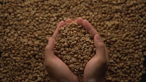 Slow motion of hands pouring coffee beans to a pile of coffee beans Video stock 116232059