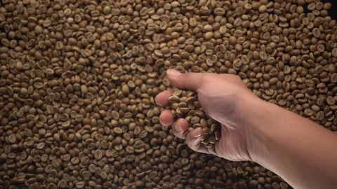 Slow motion of hands pouring coffee beans to a pile of coffee beans Video stock 116235213
