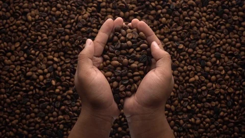 Slow motion of hands pouring coffee beans to a pile of coffee beans Video stock 116241206