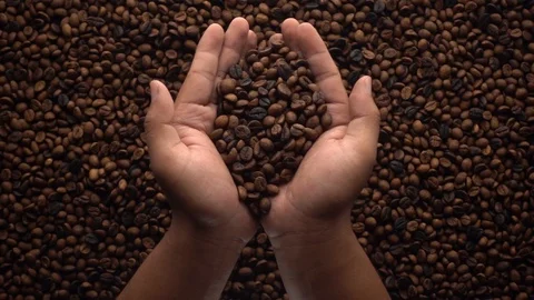 Slow motion of hands pouring coffee beans to a pile of coffee beans Stock Footage 116242269