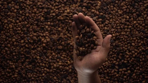 Slow motion of hands pouring coffee beans to a pile of coffee beans Video stock 116242356