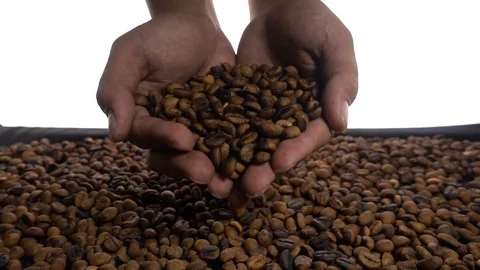 Slow motion of hands pouring coffee beans to a pile of coffee beans Video stock 116291364