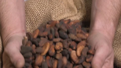 Slow Motion Of Hands Pouring Out Cocoa Beans Into A Sack Stock Footage 127023937