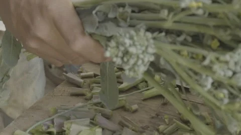 Slow Motion of Hands Trimming a Bunch of Fresh Broccoli Stems with a Knife Stock Footage 320634716