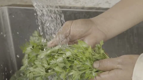 Slow Motion of Hands Washing Fresh Organic Parsley (Salsinha) Under Faucet Water Stock Footage 320633397