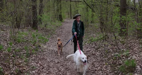 Slow motion a happy boy is walking happily with his dogs Stock Footage 153274448