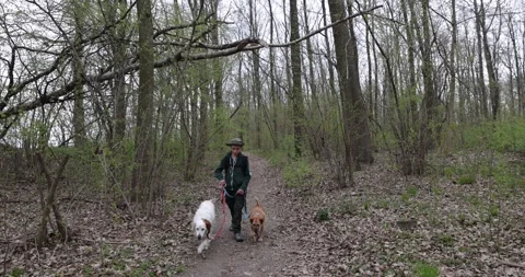 Slow motion a happy boy is walking happily with his dogs Stock Footage 153274754