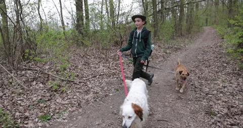 Slow motion a happy boy is walking happily with his dogs Stock Footage 153275228