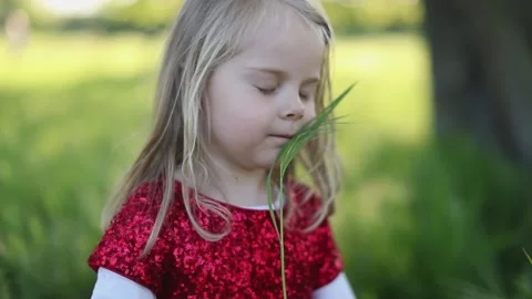 SLOW MOTION Happy cute blond little girl in red dress touch the tree Stock Footage 131778352