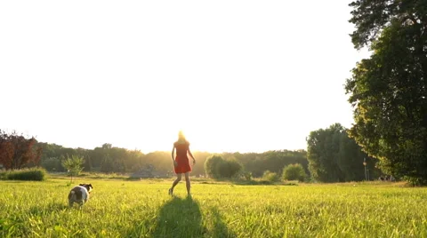 Slow motion happy summer time Stock-Footage 64604616