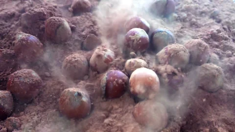 Slow motion hazelnut fall in chocolate 動画素材 88661421