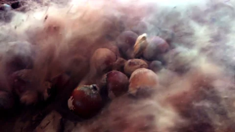 Slow motion hazelnut fall in chocolate 스톡 동영상 88671594