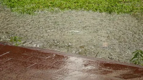 Slow motion heavy rain falling 스톡 동영상 111498296